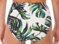 palm-valley-fs6767-high-rise-bikini-brief-fern-b_orig.jpg