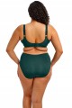 ELOMI-biustonosz-miekki-minimizer-Smooth-deep-emerald-zielony-Uk32H-Eu-70K-Model-Elomi-Smooth-deep-emerald.jpeg